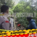 screenshot 2026 02 03 00 40 37 80 49b744a1119b10413101e3a8de88e0cd