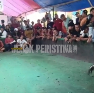 screenshot 2026 04 01 16 31 42 97 49b744a1119b10413101e3a8de88e0cd