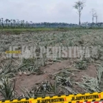 screenshot 2026 04 19 14 07 51 19 49b744a1119b10413101e3a8de88e0cd